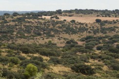 380_fincas-en-venta-portada