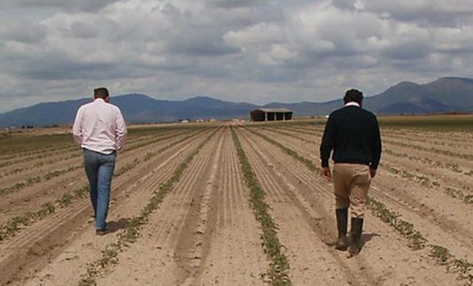 LOS-MÓDULOS-DEL-IRPF-COOPERATIVAS-EXTREMADURA-534x462