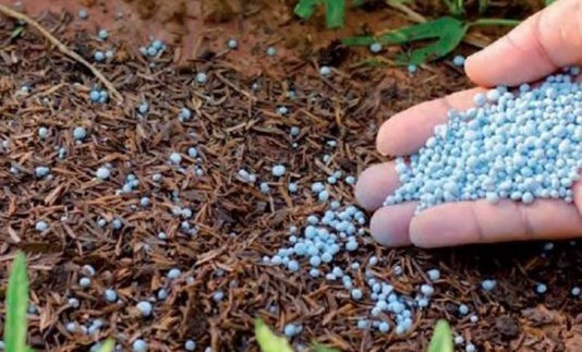 fertilizantes-534x462