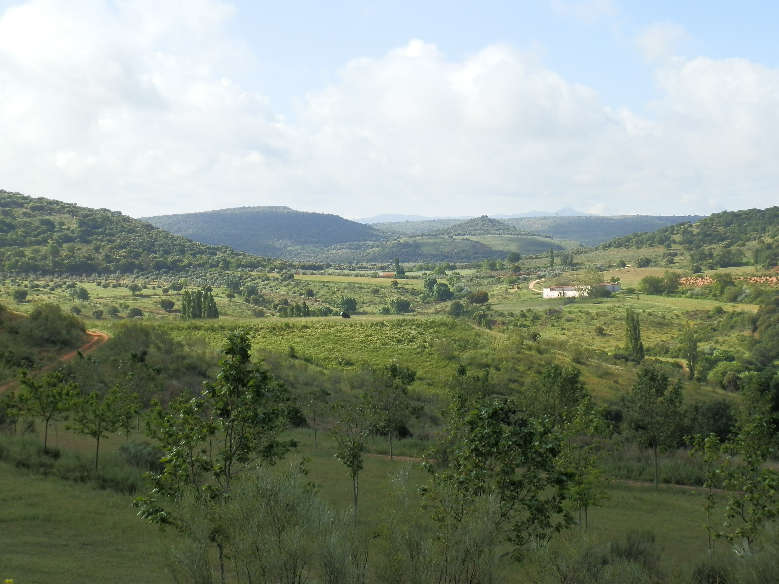 Paisaje de finca rústica