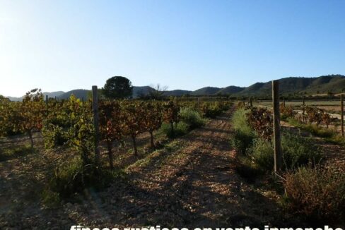 493_fincas-en-venta-067