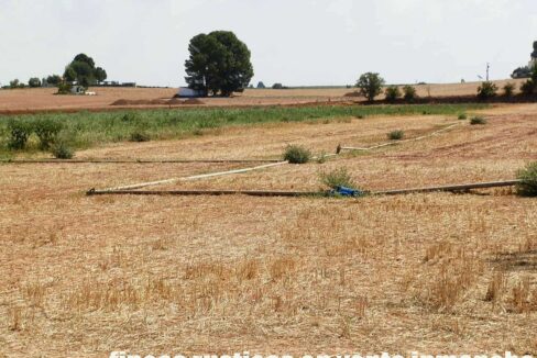 534_fincas-en-venta-020