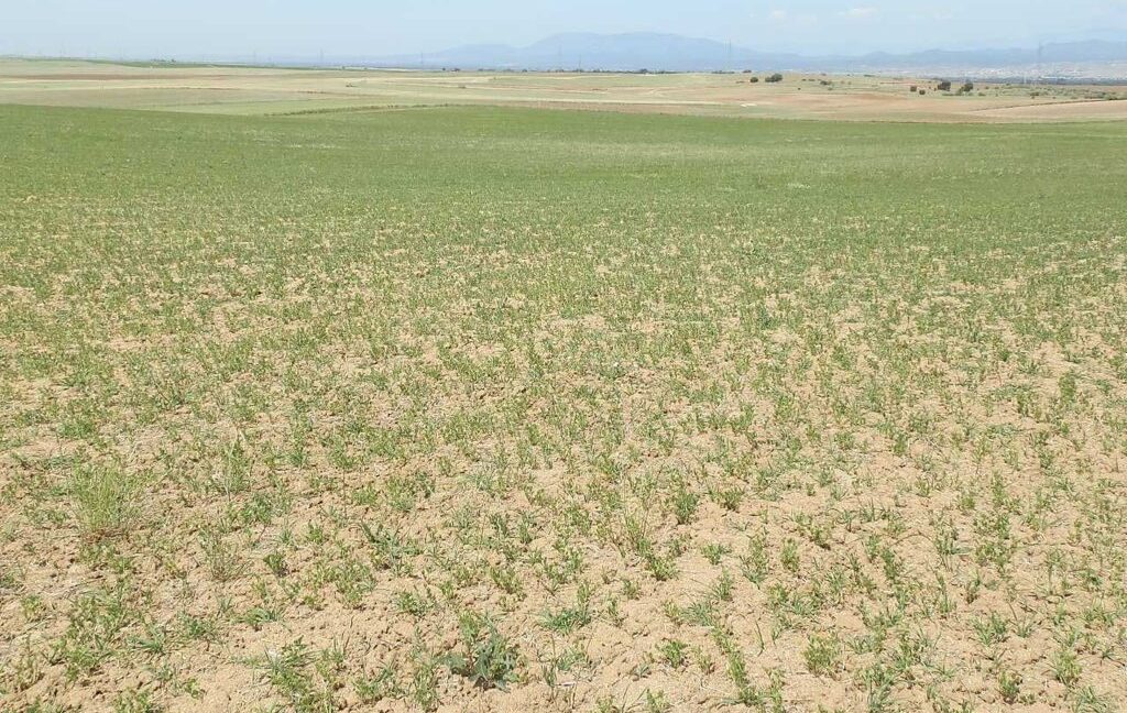 606_fincas-en-venta-0034