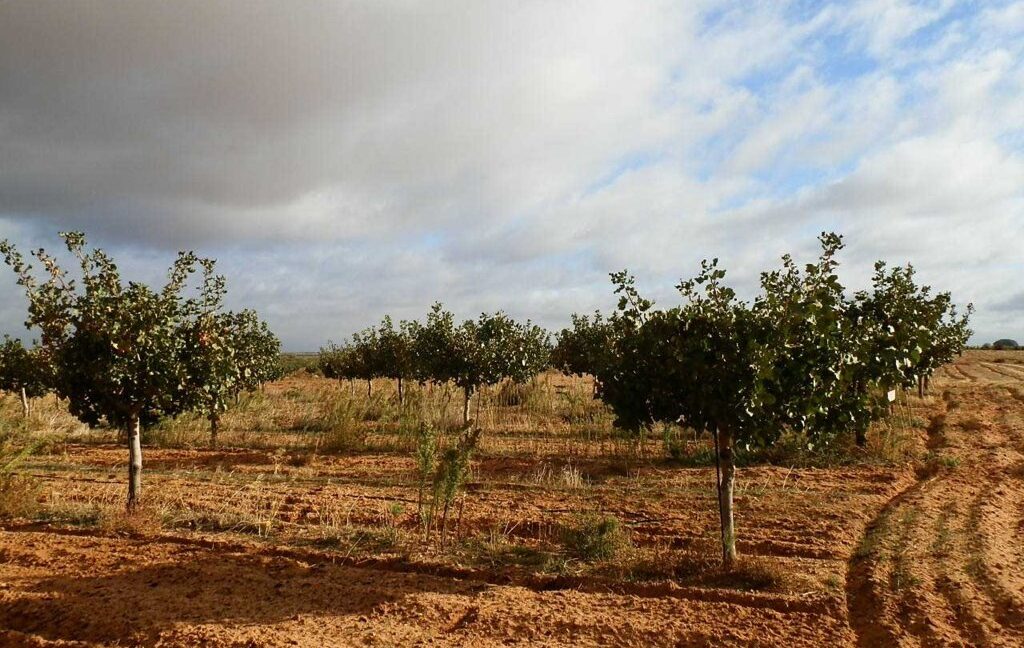 614_fincas-en-venta-09