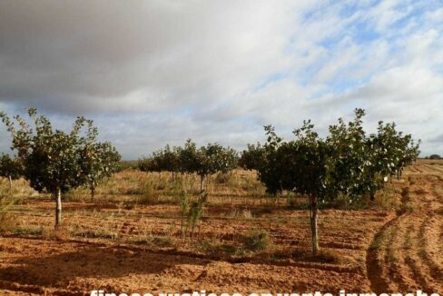 614_fincas-en-venta-09