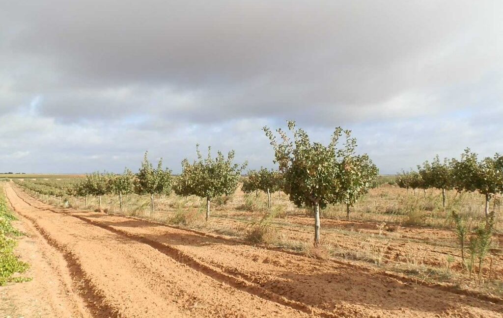 614_fincas-en-venta-10