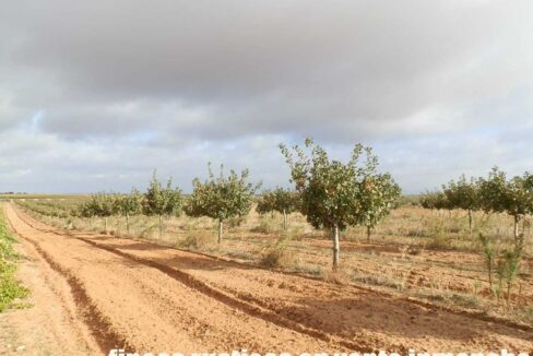 614_fincas-en-venta-10