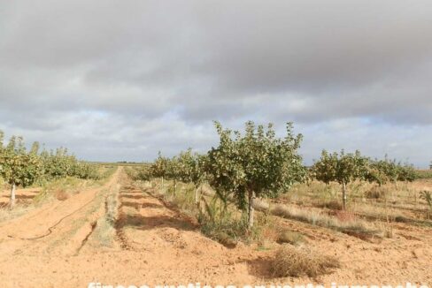 614_fincas-en-venta-11