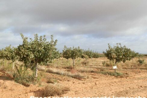 614_fincas-en-venta-12