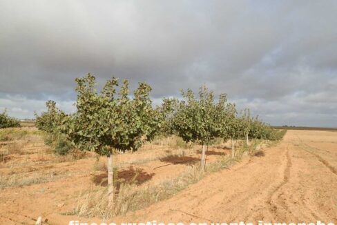 614_fincas-en-venta-13