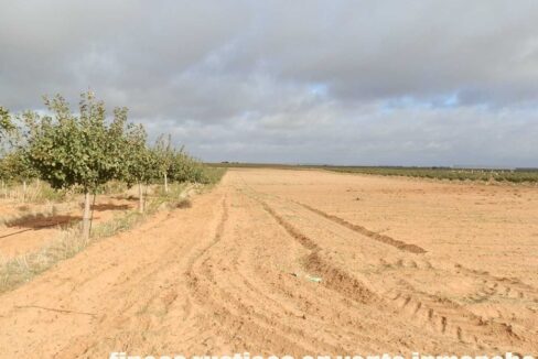 614_fincas-en-venta-14