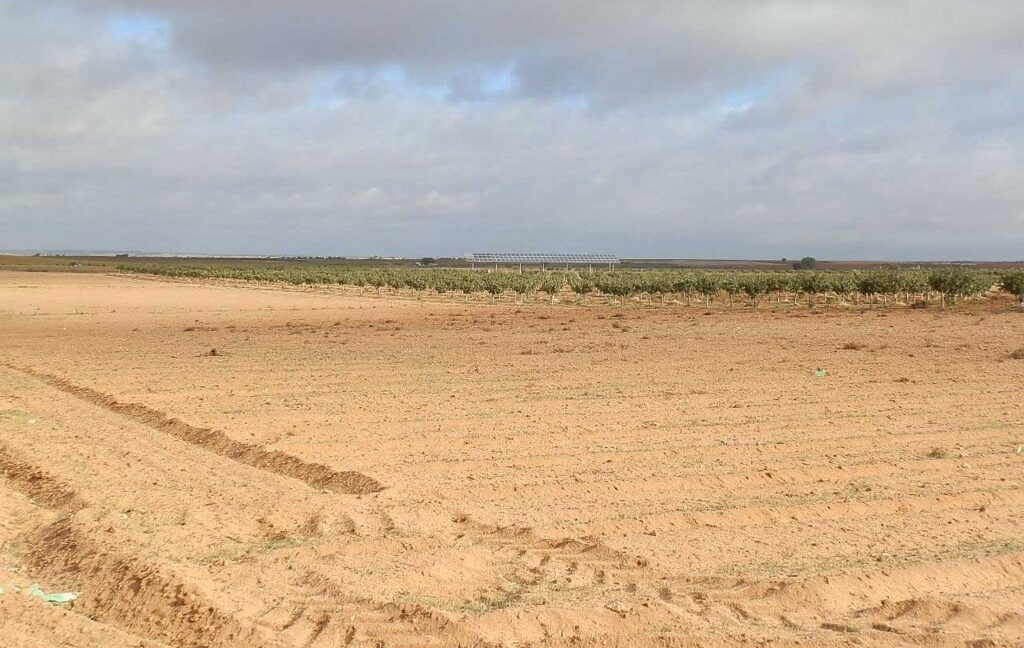 614_fincas-en-venta-15