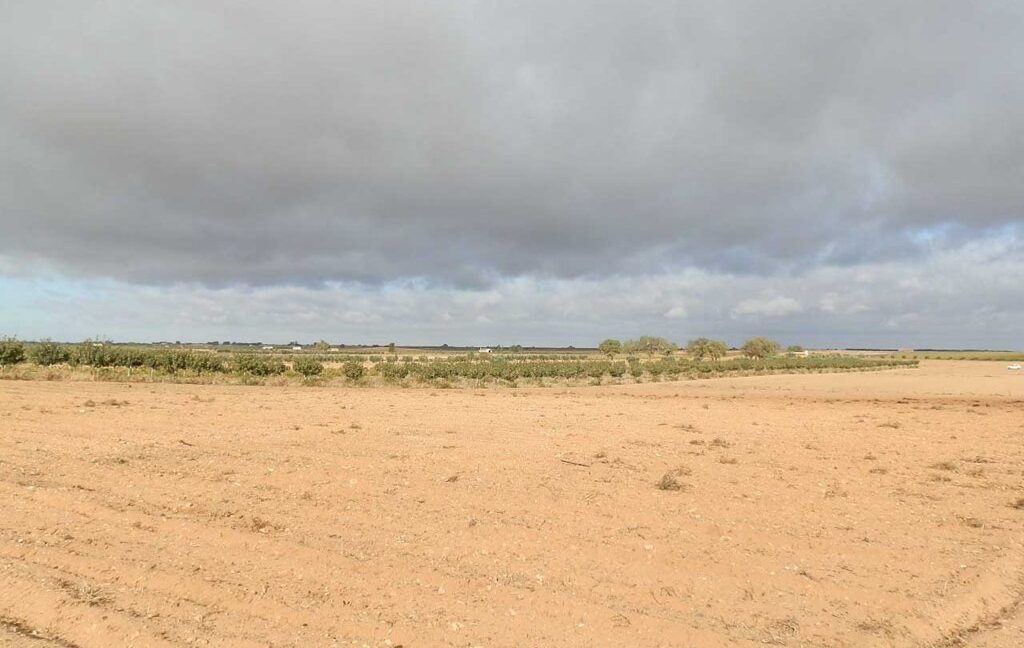 614_fincas-en-venta-16