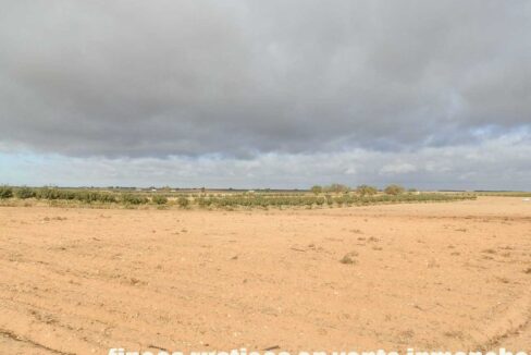 614_fincas-en-venta-16