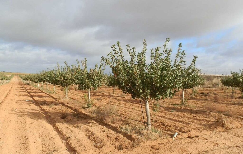 614_fincas-en-venta-18