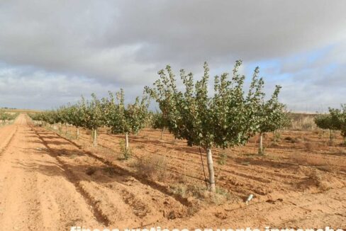 614_fincas-en-venta-18