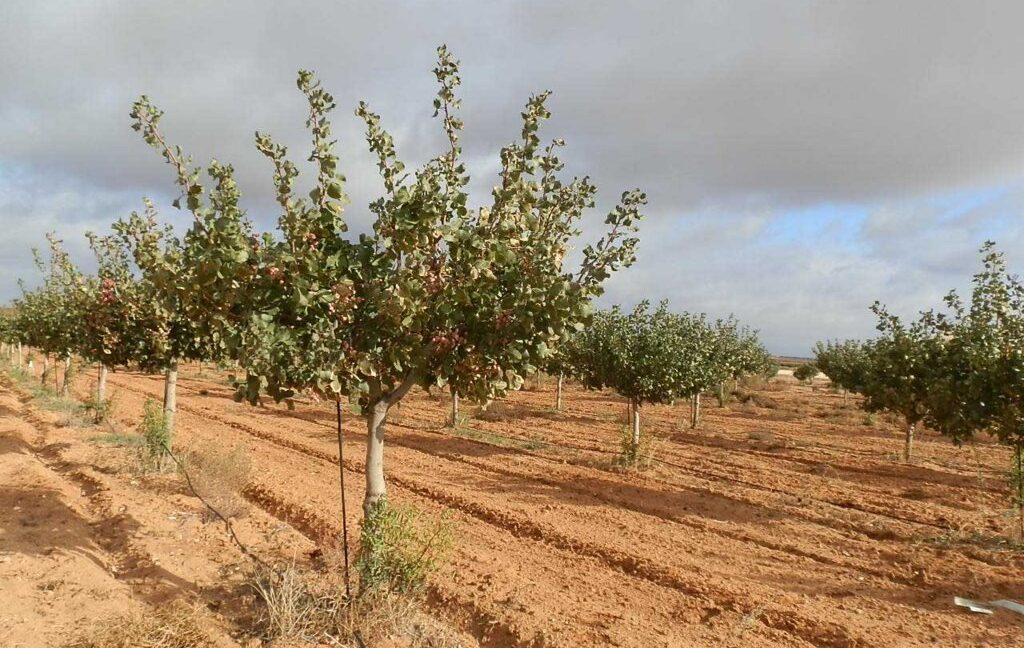 614_fincas-en-venta-20