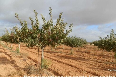 614_fincas-en-venta-20