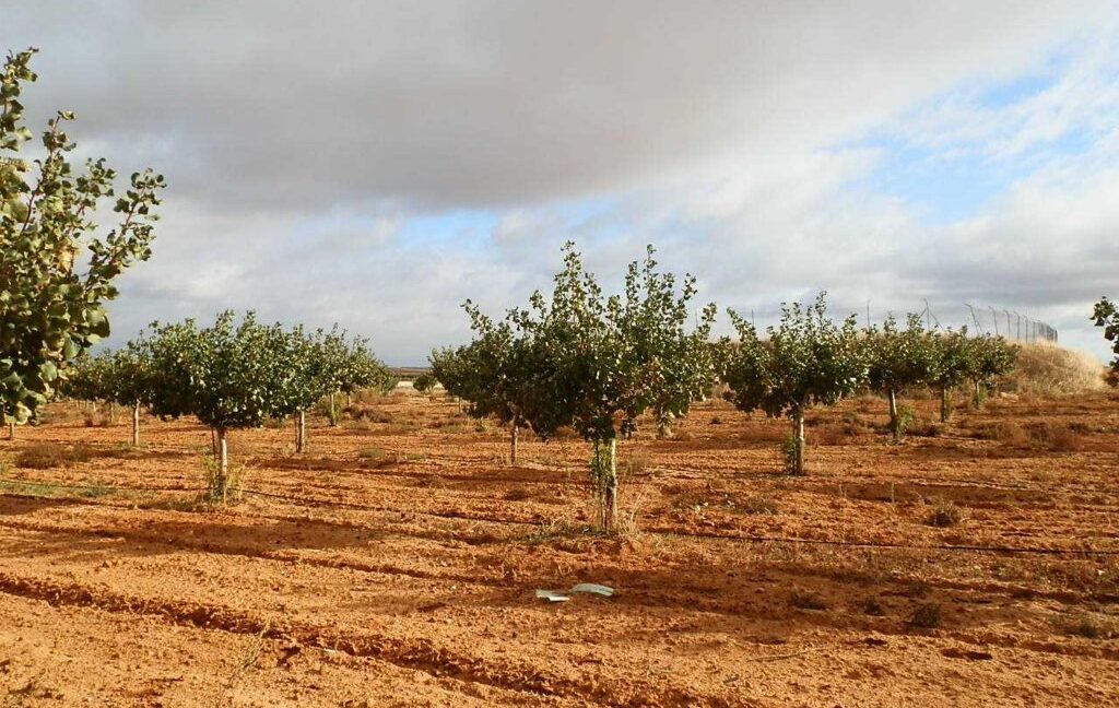 614_fincas-en-venta-21