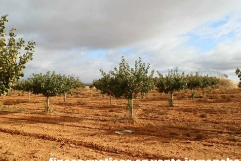 614_fincas-en-venta-21