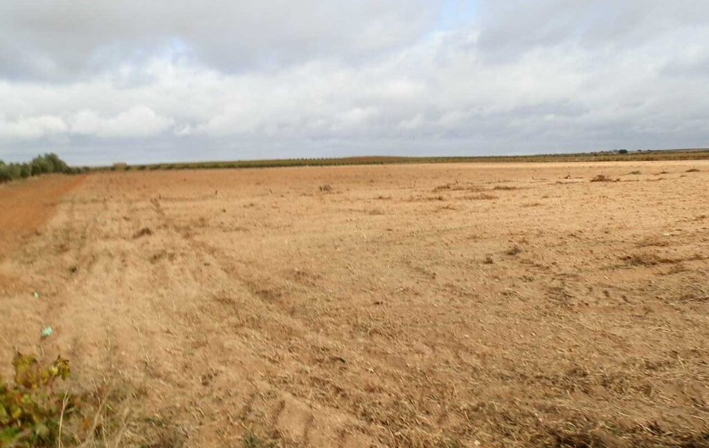 614_fincas-en-venta-23