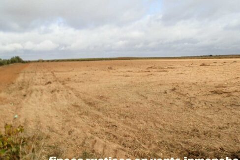 614_fincas-en-venta-23