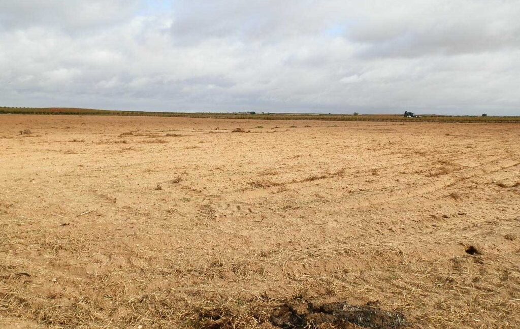 614_fincas-en-venta-24