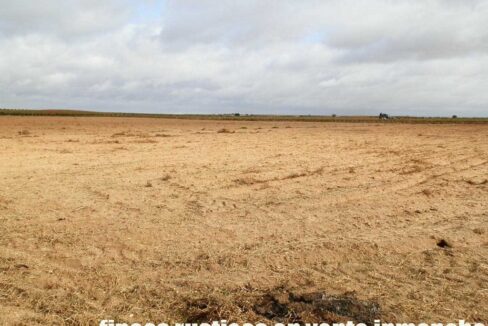 614_fincas-en-venta-24