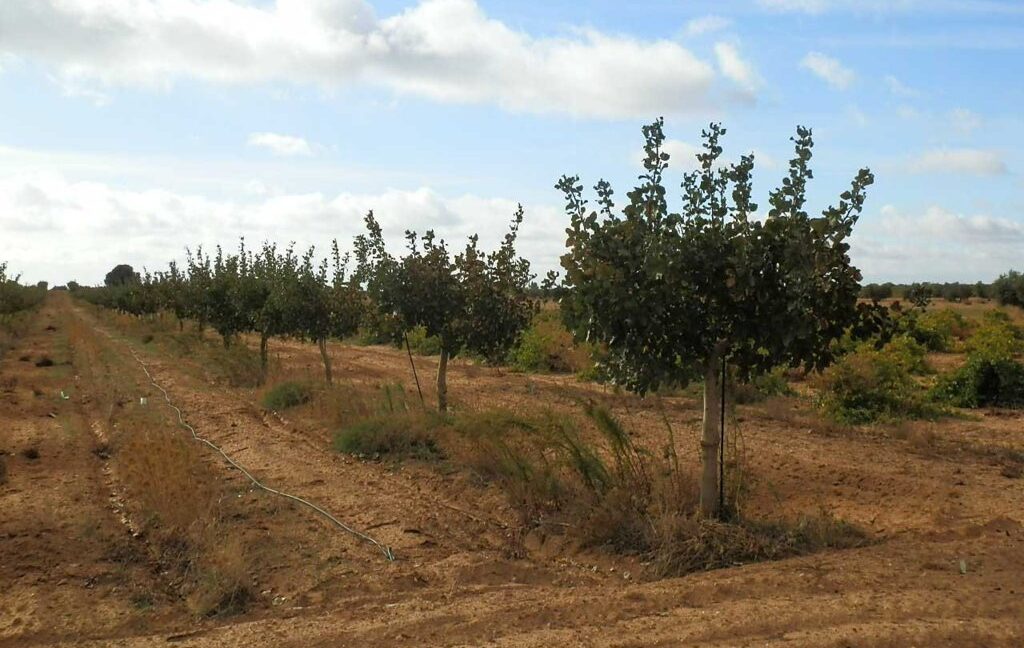 614_fincas-en-venta-27