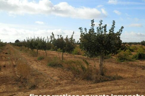 614_fincas-en-venta-27