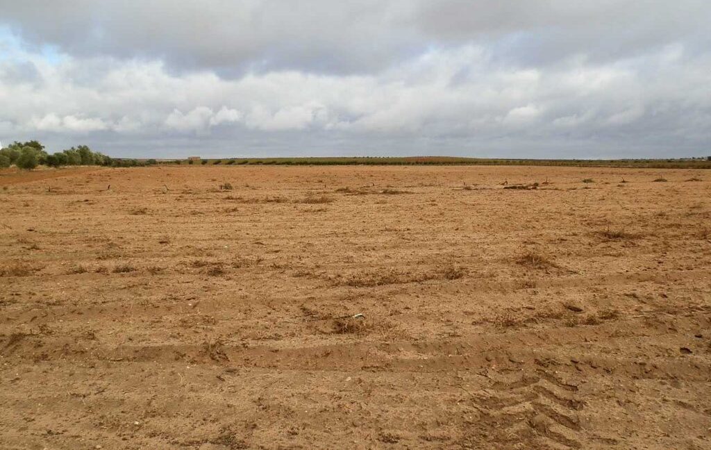 614_fincas-en-venta-29