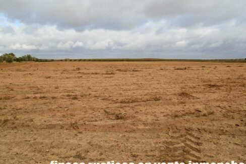 614_fincas-en-venta-29