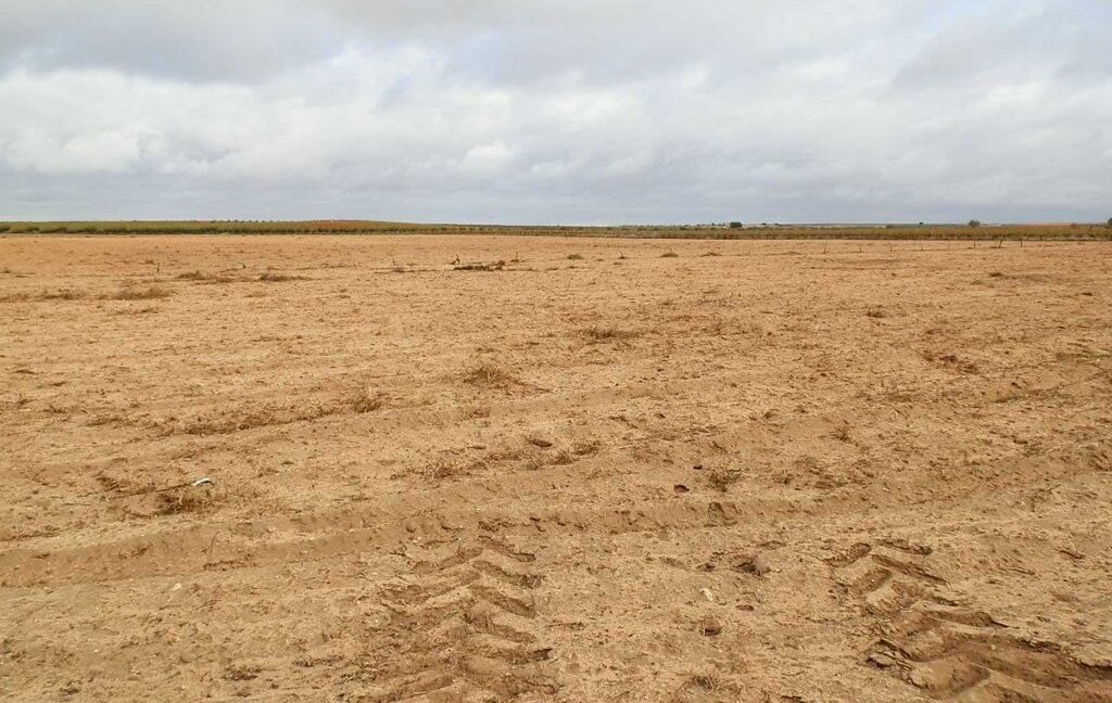 614_fincas-en-venta-30