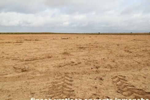 614_fincas-en-venta-30