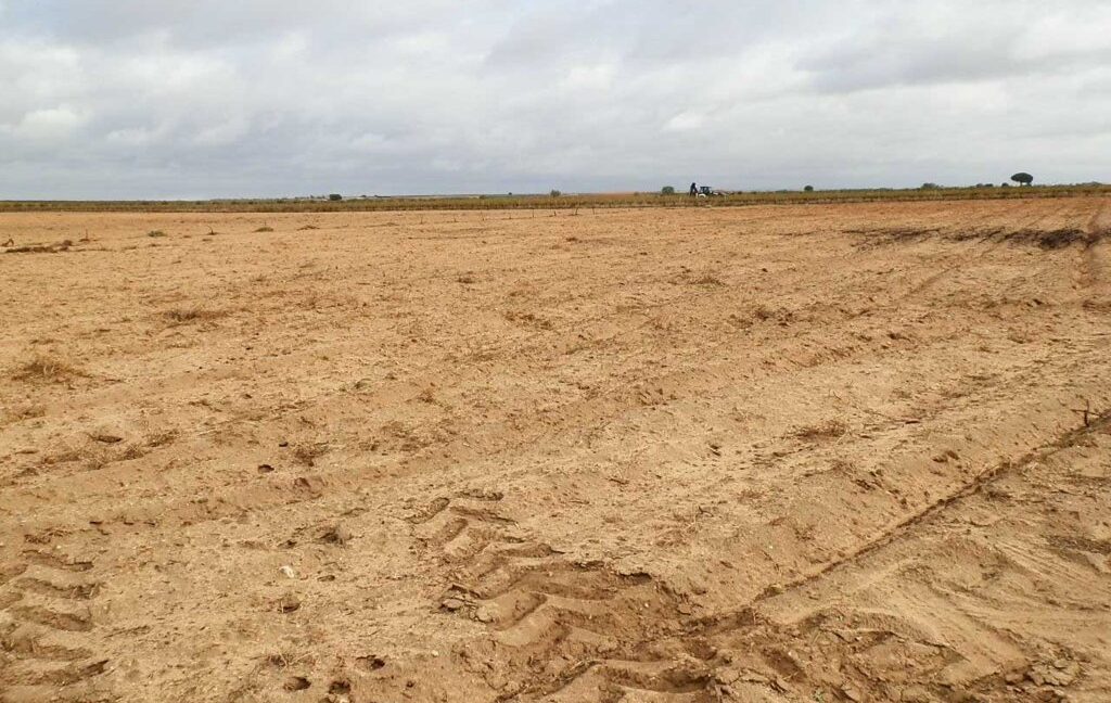 614_fincas-en-venta-31