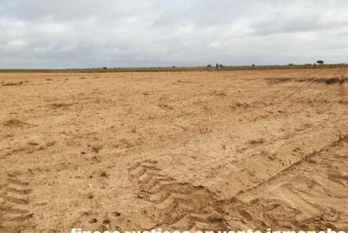 614_fincas-en-venta-31