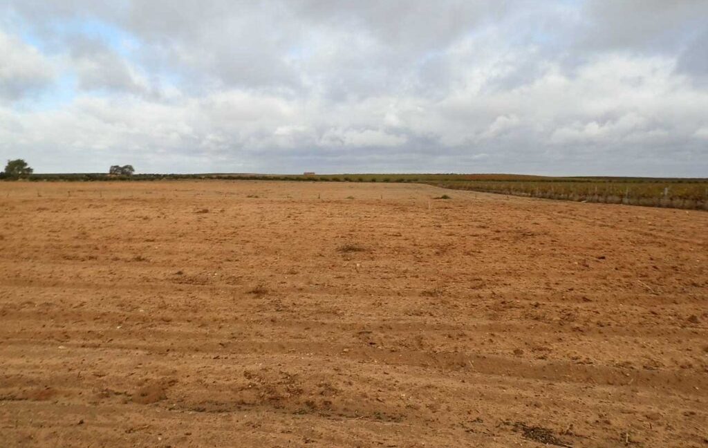 614_fincas-en-venta-32