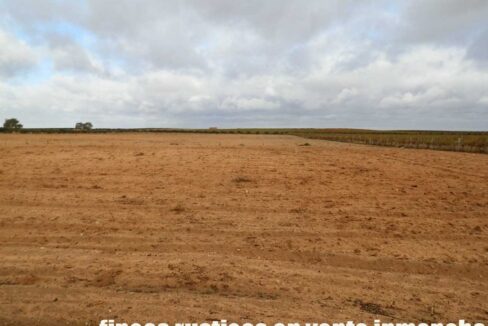 614_fincas-en-venta-32