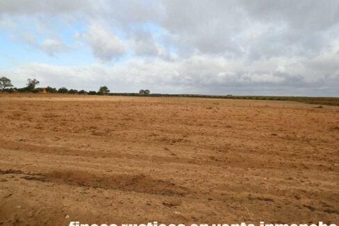 614_fincas-en-venta-33