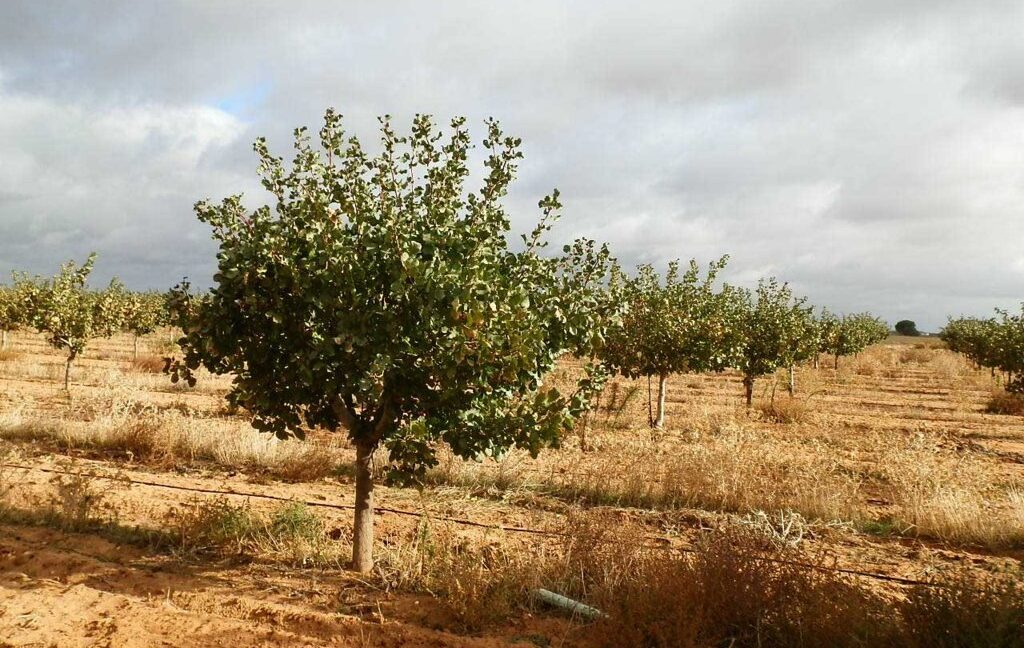 614_fincas-en-venta-39