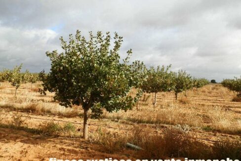 614_fincas-en-venta-39