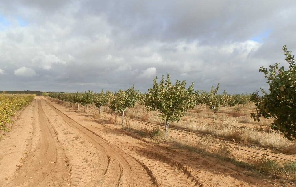 614_fincas-en-venta-40