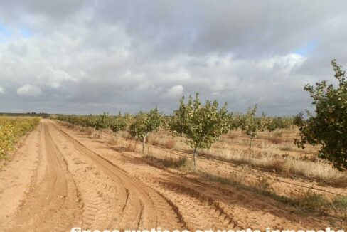 614_fincas-en-venta-40