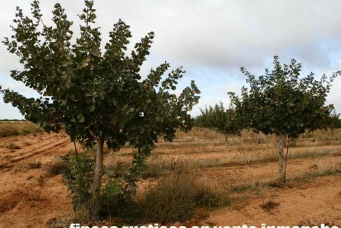 614_fincas-en-venta-41