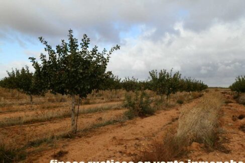 614_fincas-en-venta-42