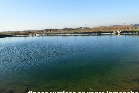 614_fincas-en-venta-43