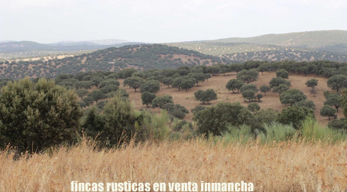 642_fincas-en-venta-23