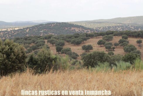 642_fincas-en-venta-23