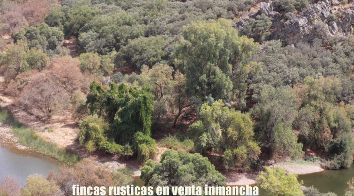 642_fincas-en-venta-43