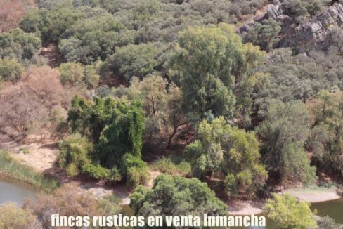 642_fincas-en-venta-43